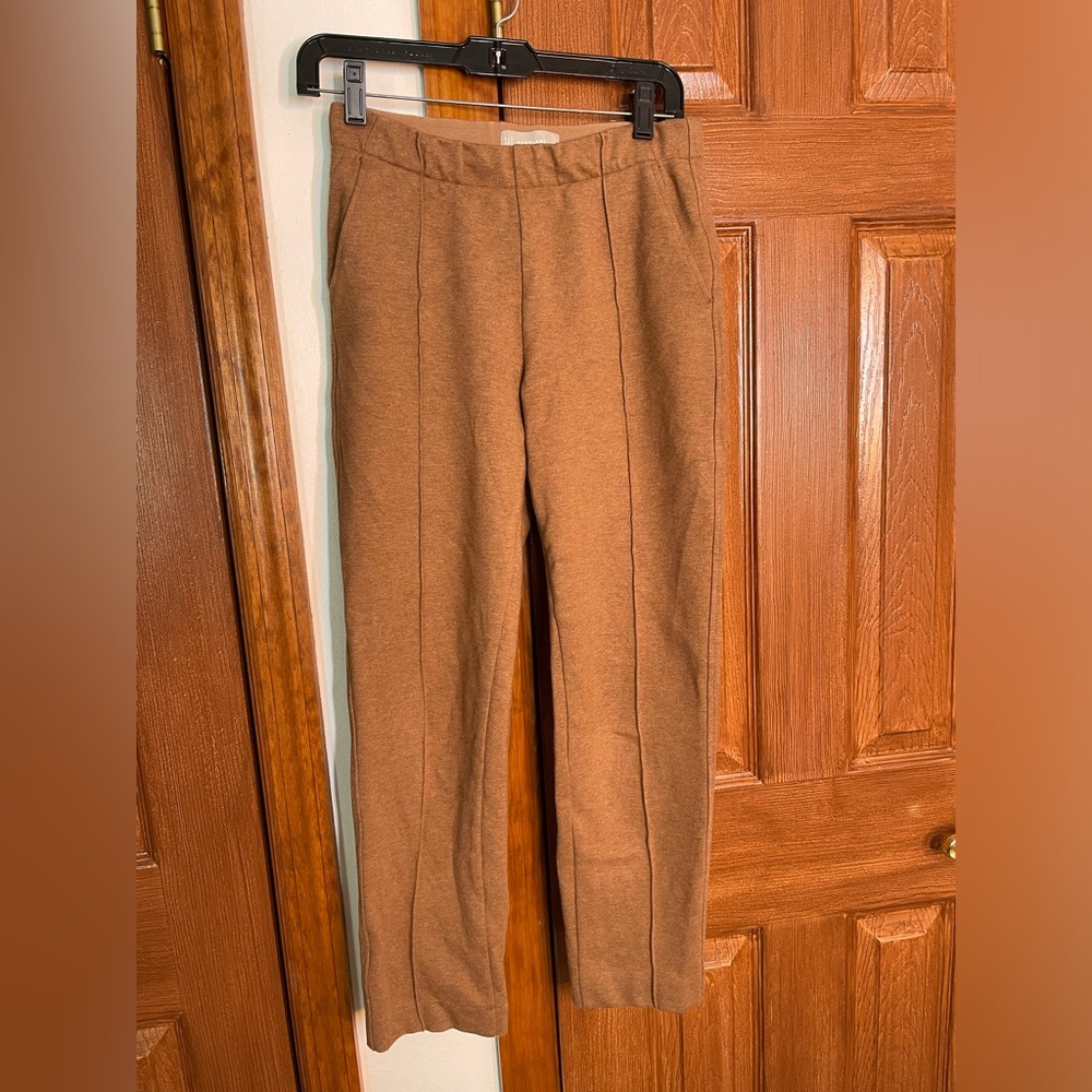 Everlane dream pant